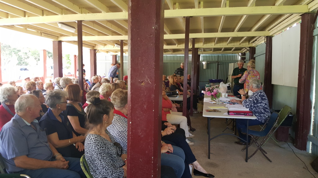 Maleny Garden Club