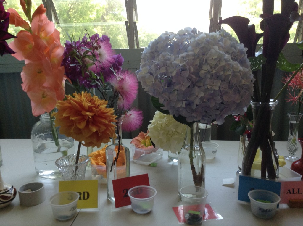 Maleny Garden Club