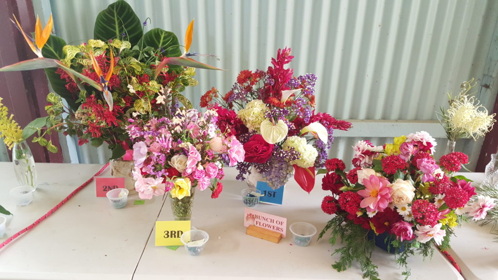 Maleny Garden Club