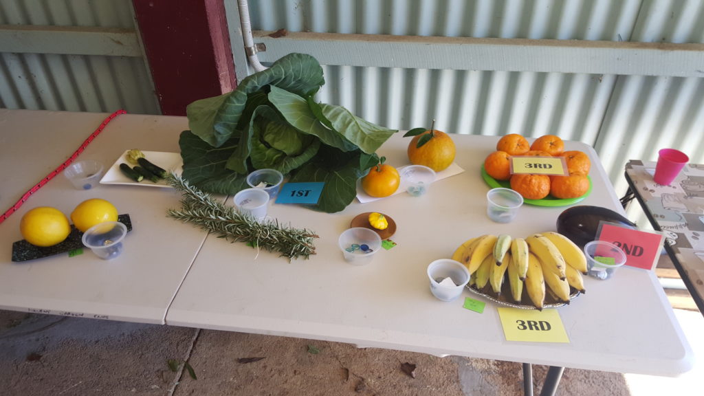 Maleny Garden Club