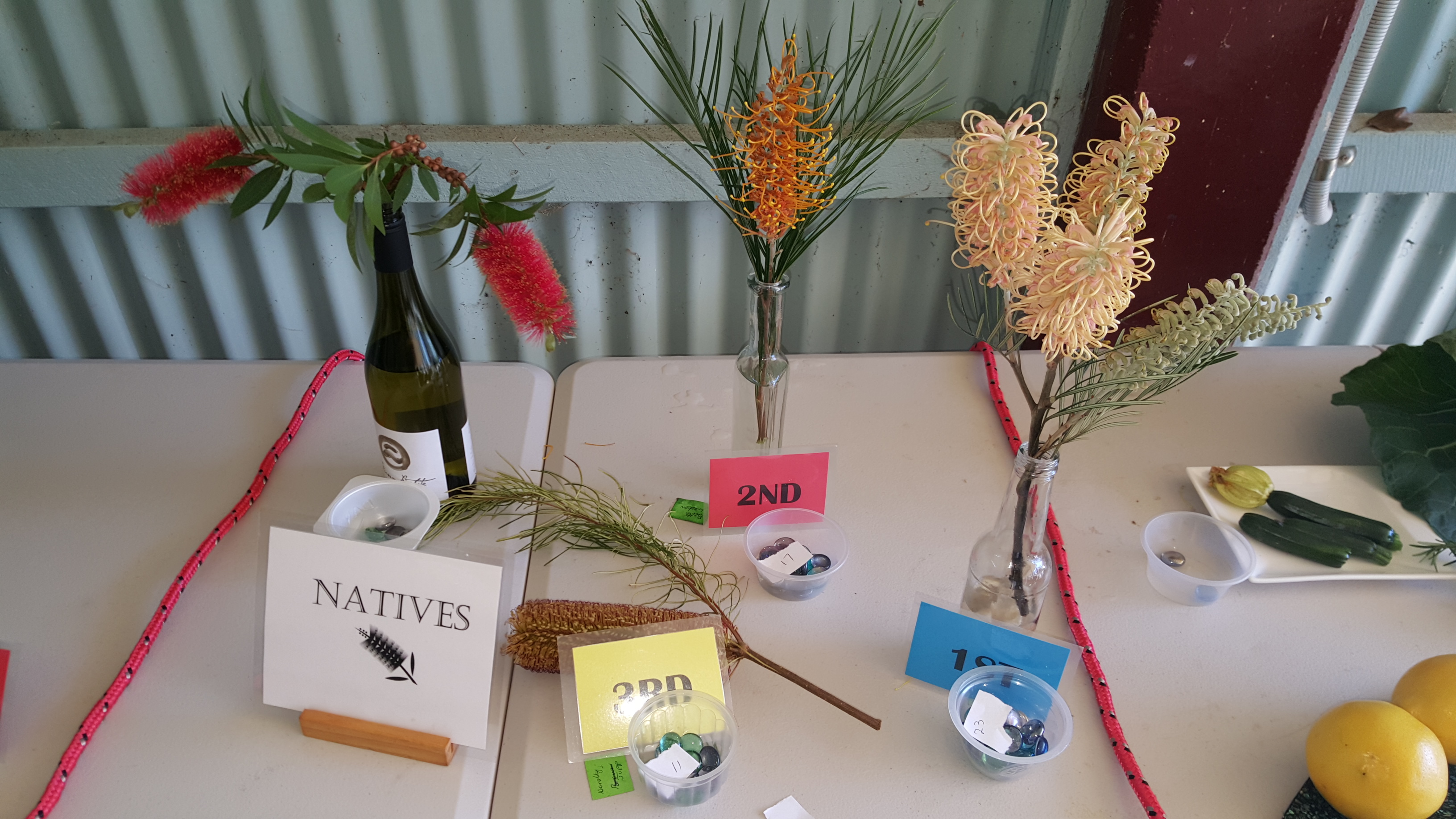 Maleny Garden Club