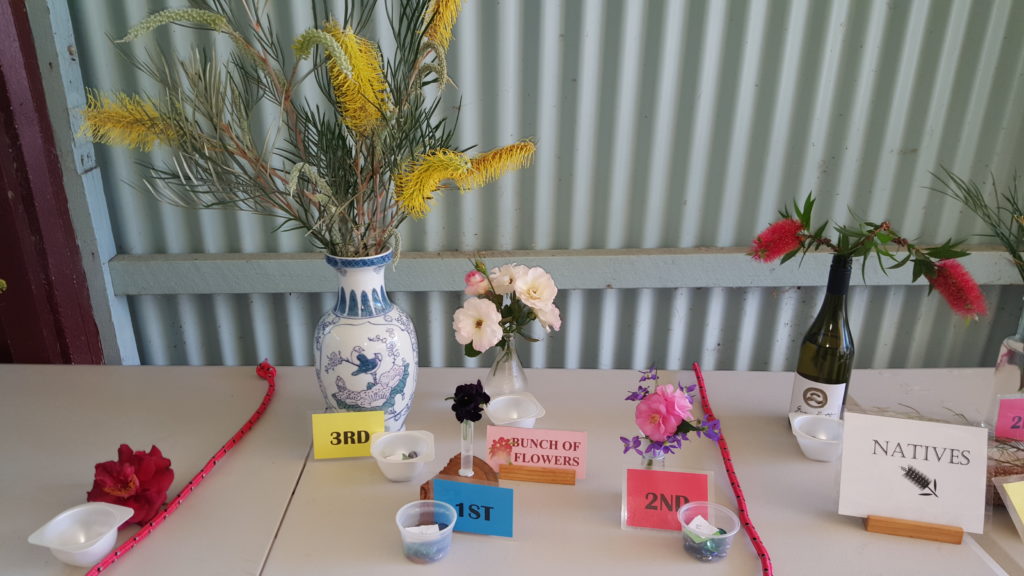 Maleny Garden Club