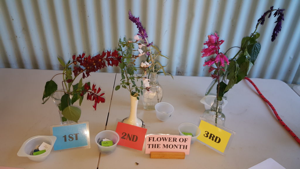 Maleny Garden Club