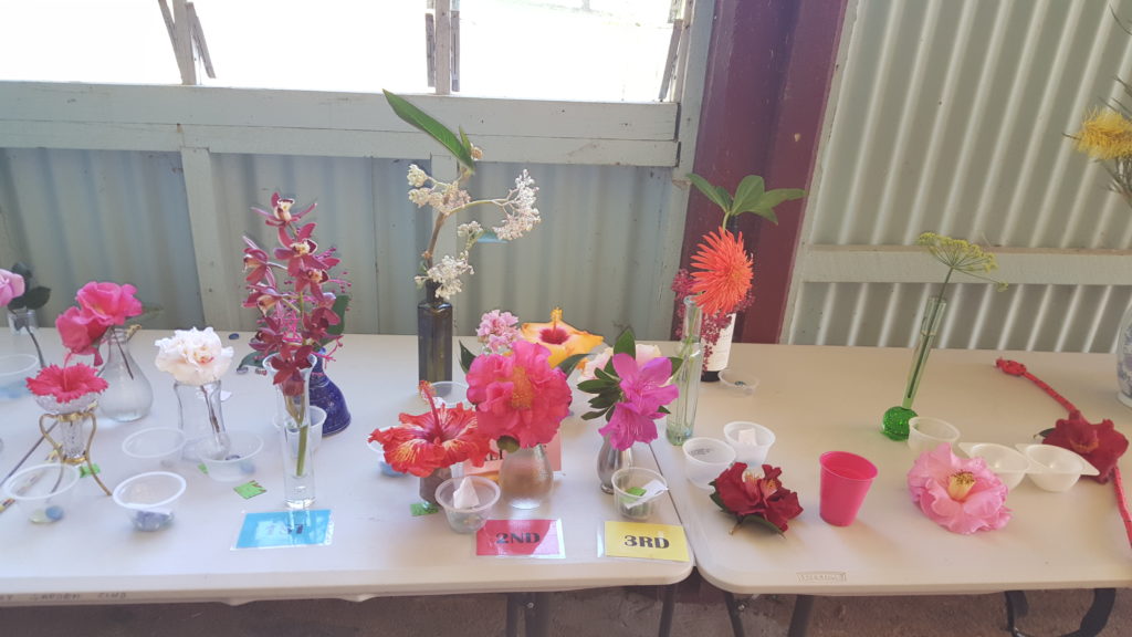 Maleny Garden Club