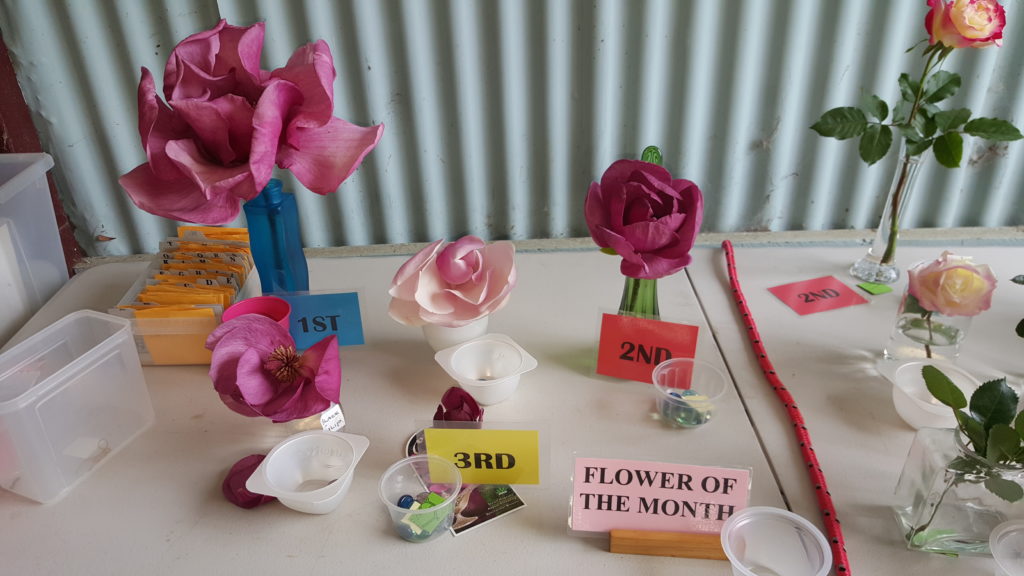 Maleny Garden Club