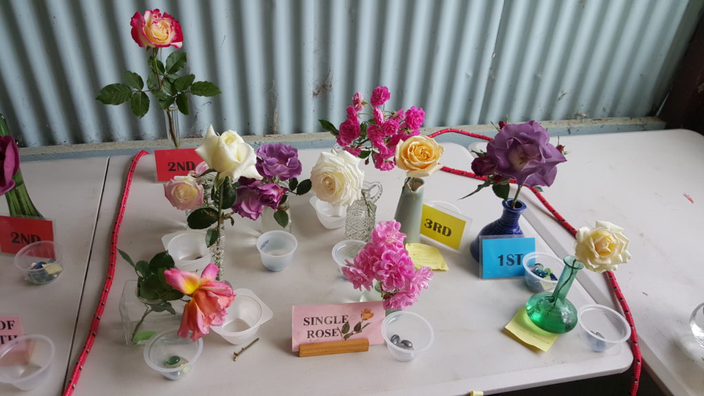 Maleny Garden Club
