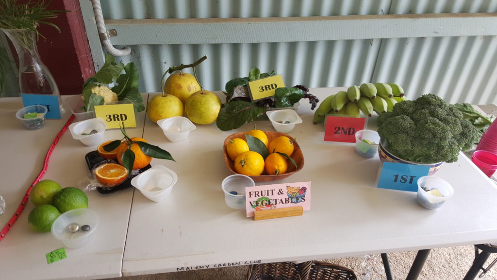 Maleny Garden Club