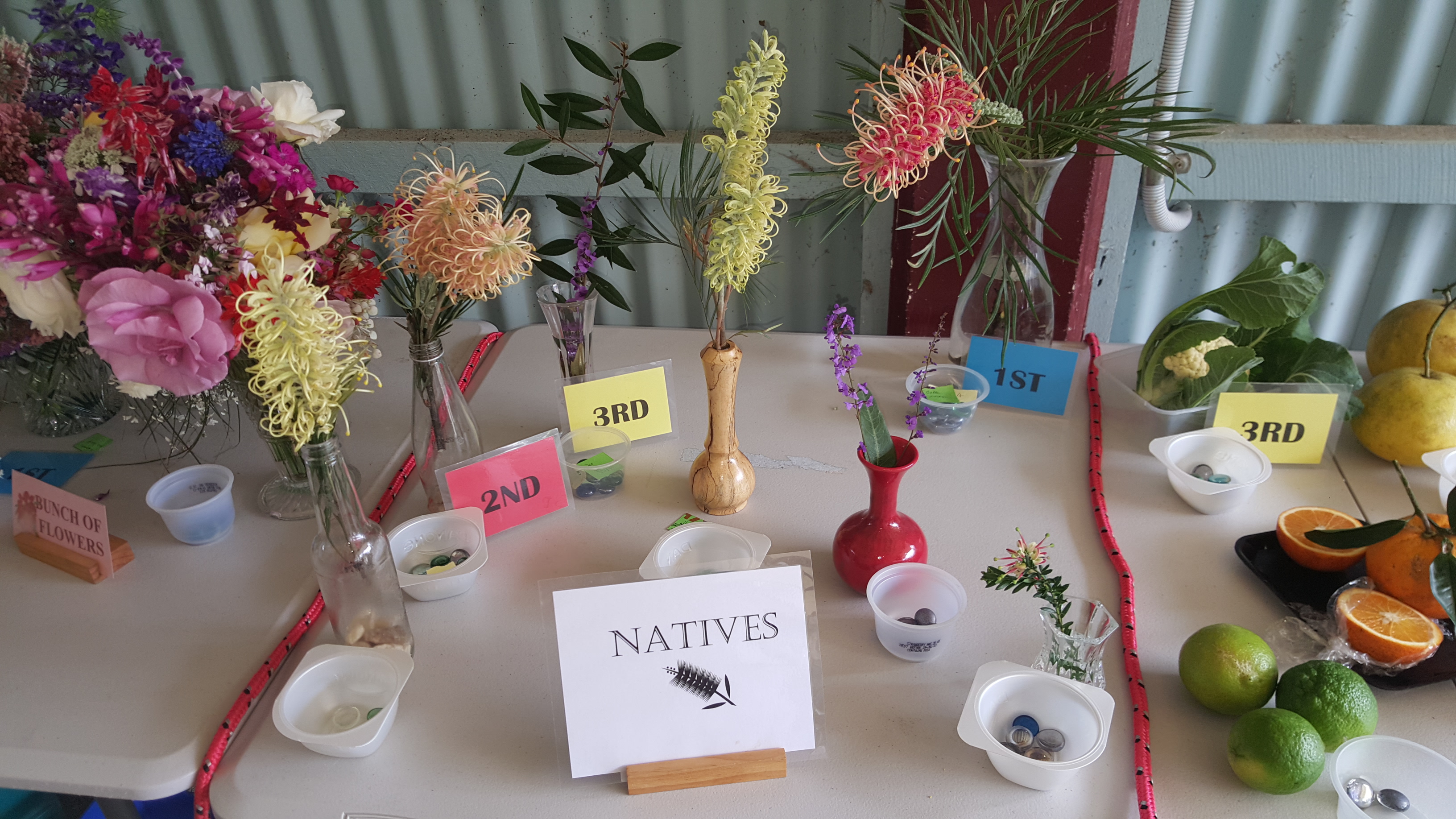 Maleny Garden Club
