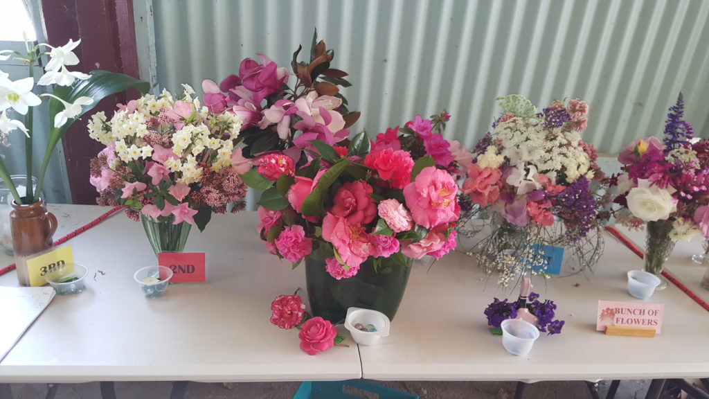Maleny Garden Club