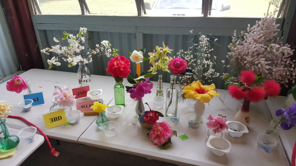 Maleny Garden Club