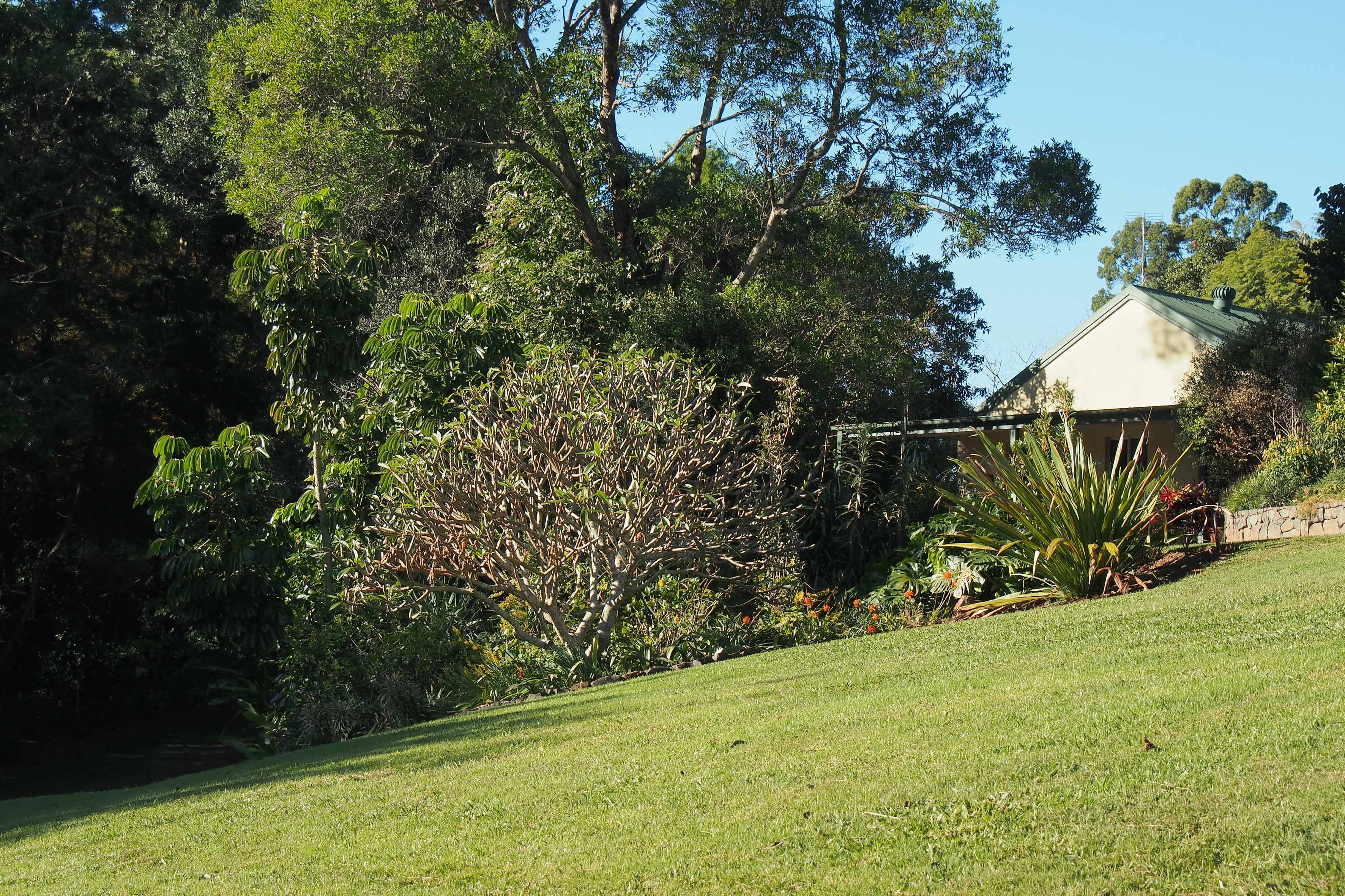 Maleny Garden Club