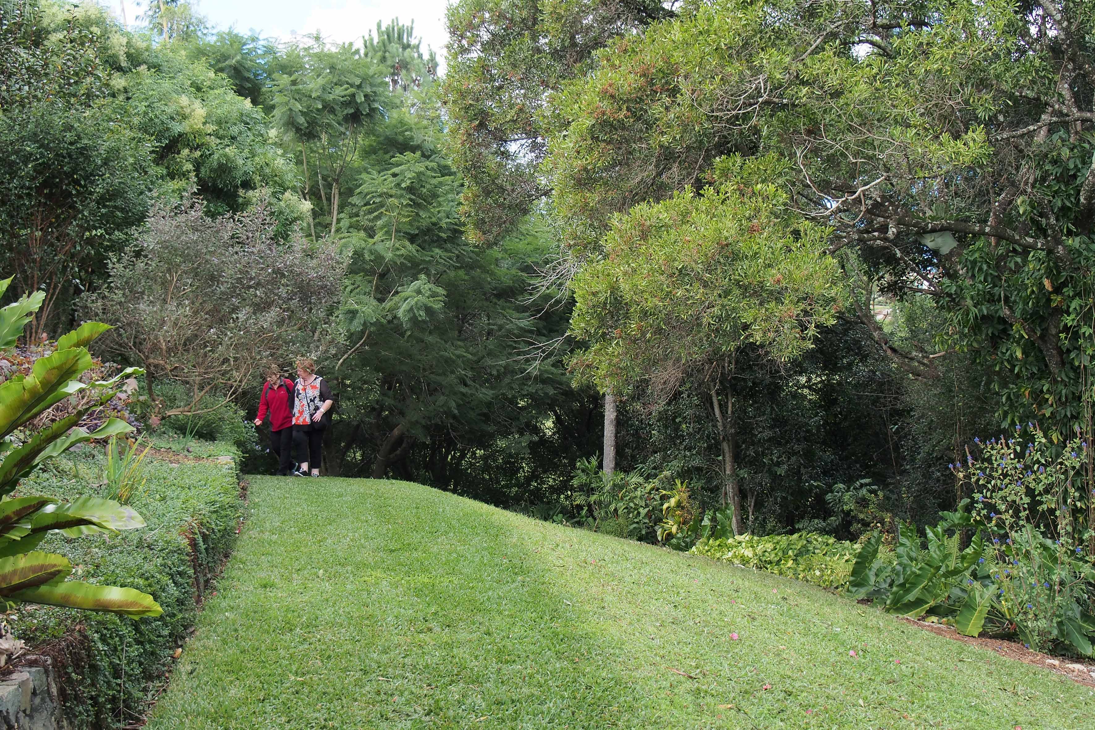 Maleny Garden Club