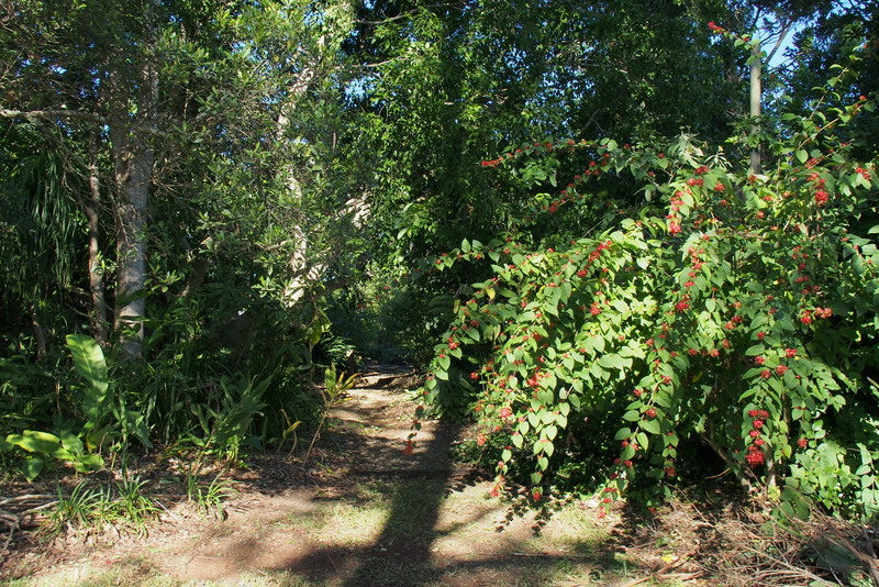 Maleny Garden Club