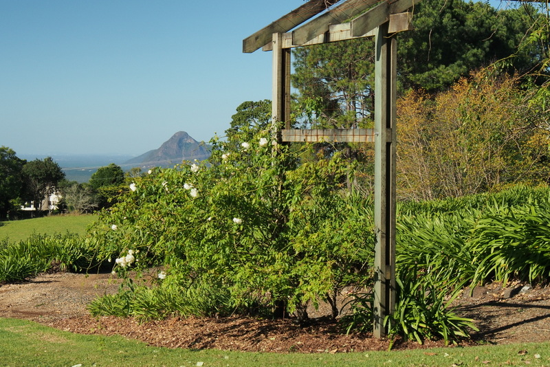 Maleny Garden Club