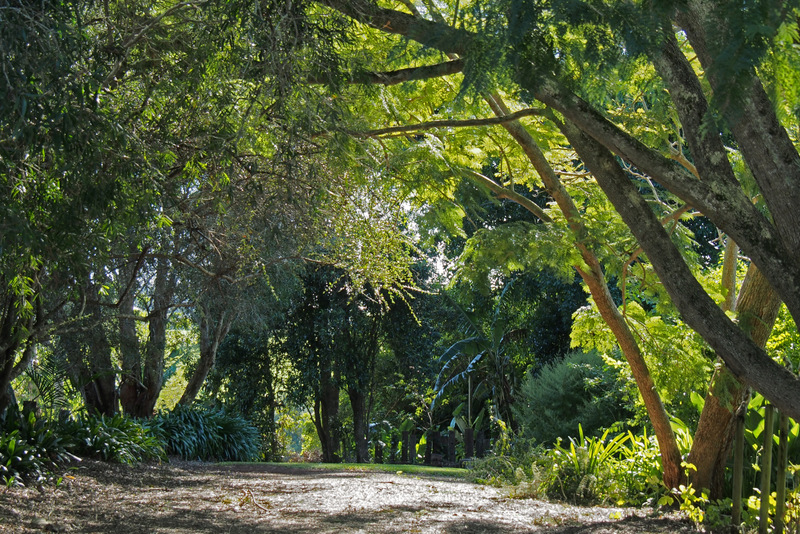 Maleny Garden Club