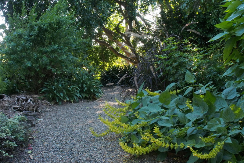 Maleny Garden Club
