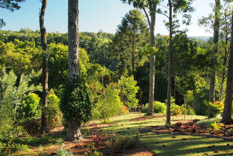 Maleny Garden Club