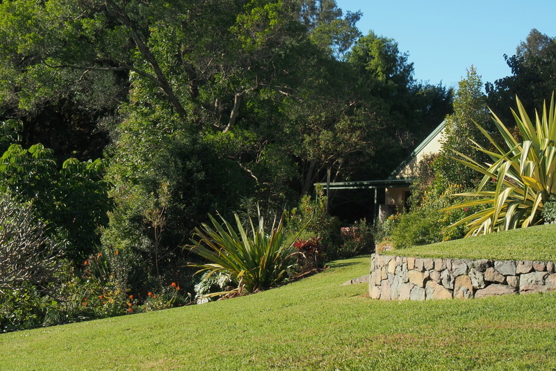 Maleny Garden Club