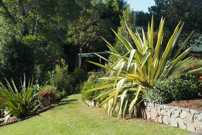 Maleny Garden Club