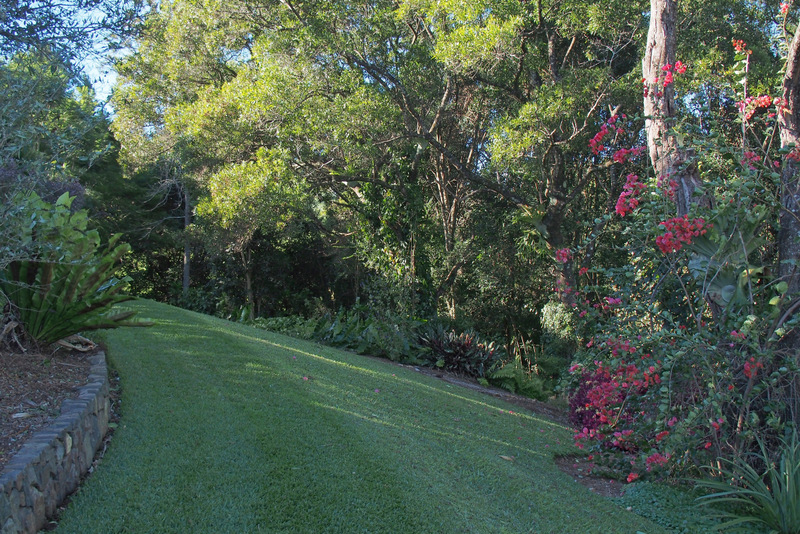 Maleny Garden Club
