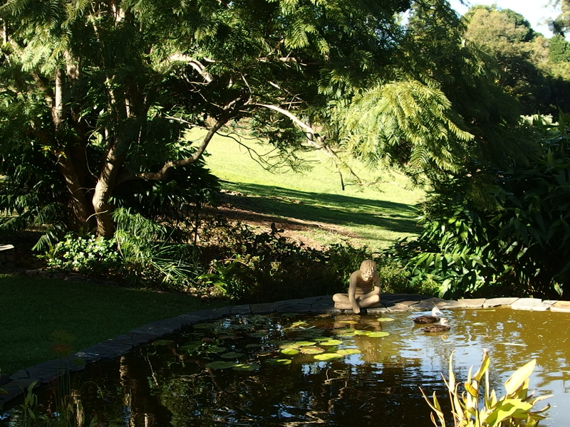 Maleny Garden Club