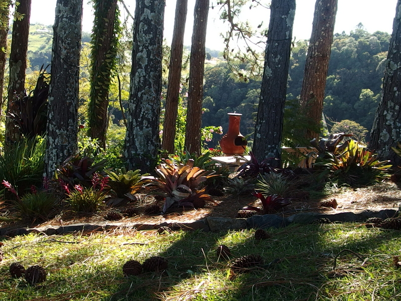 Maleny Garden Club