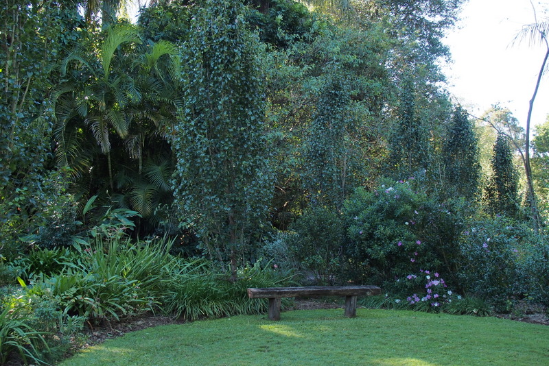 Maleny Garden Club