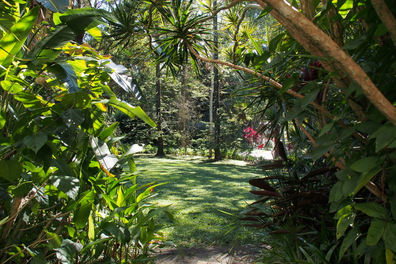 Maleny Garden Club