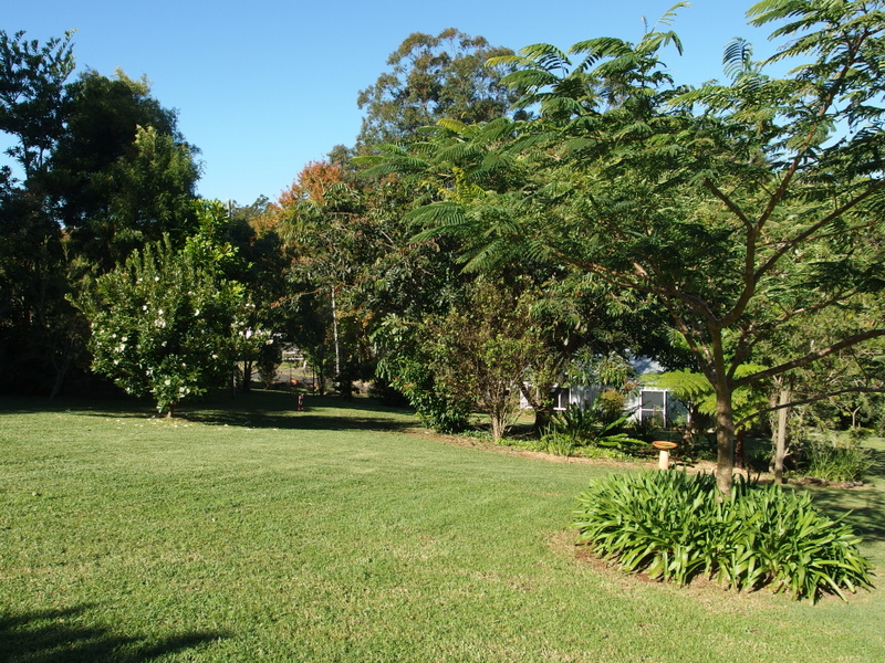 Maleny Garden Club