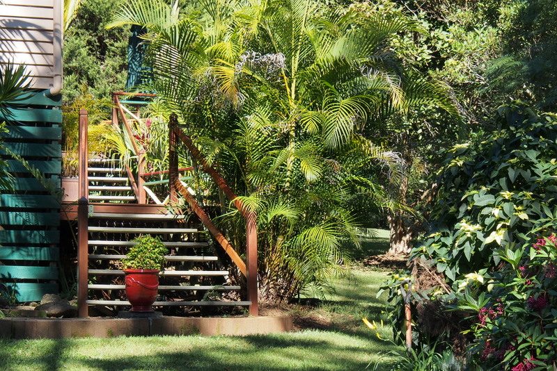 Maleny Garden Club