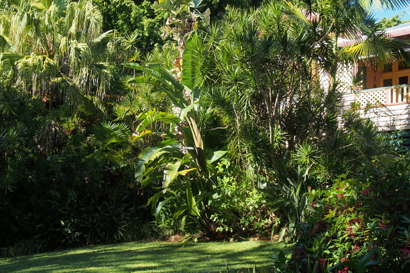 Maleny Garden Club