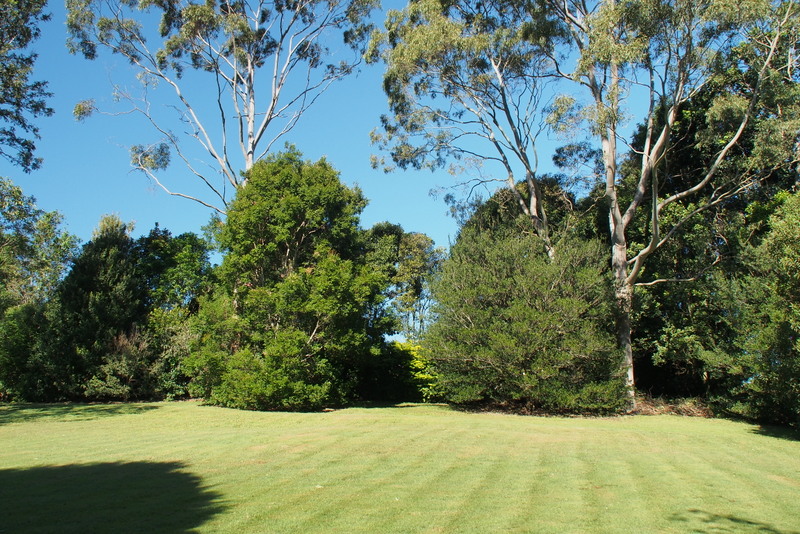 Maleny Garden Club