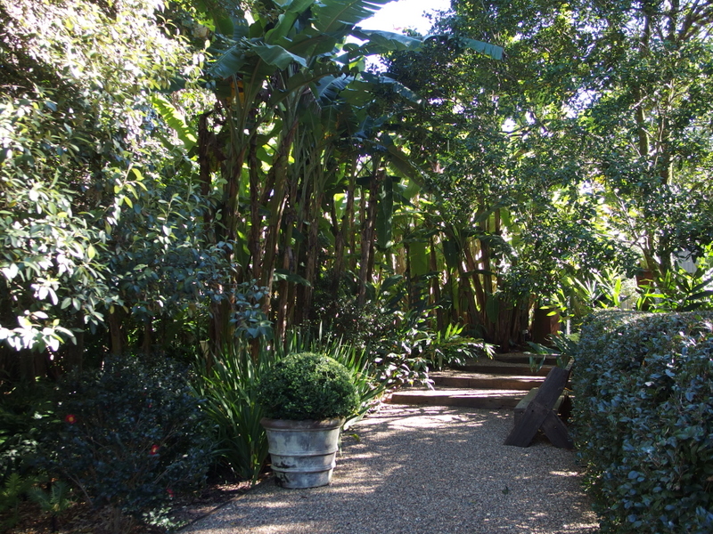 Maleny Garden Club