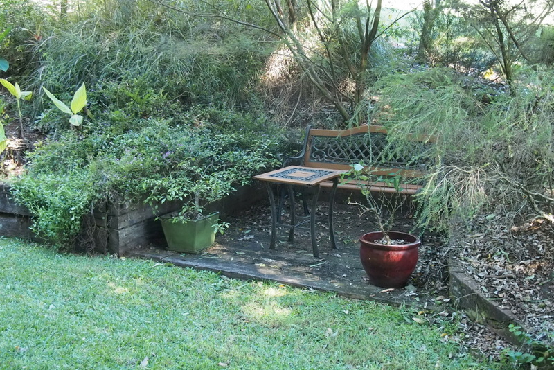 Maleny Garden Club