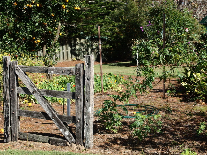 Maleny Garden Club