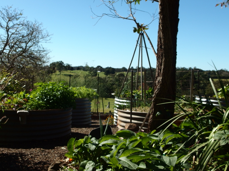 Maleny Garden Club