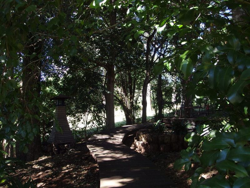 Maleny Garden Club