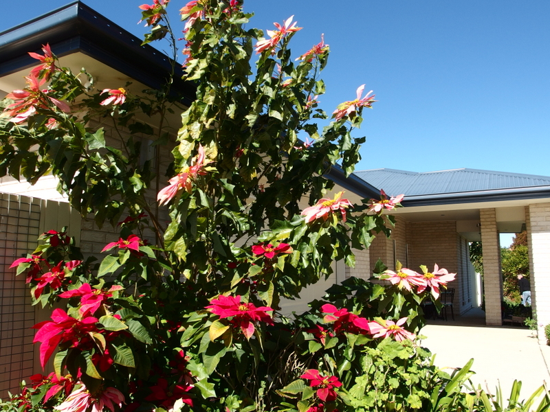 Maleny Garden Club