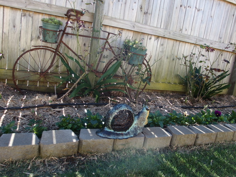 Maleny Garden Club