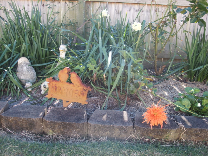 Maleny Garden Club