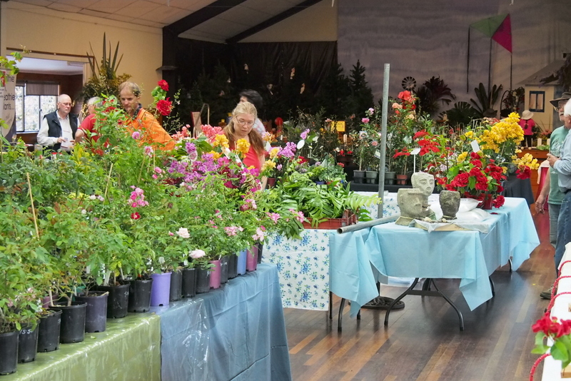 Maleny Garden Club