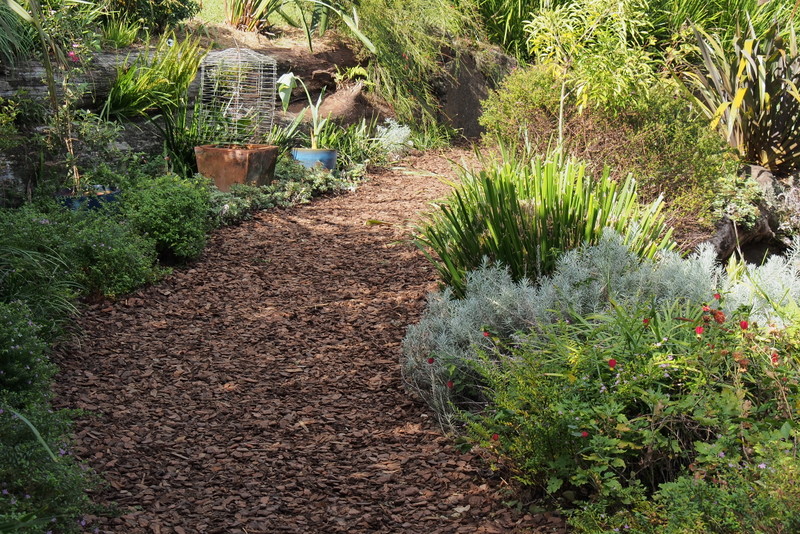 Maleny Garden Club