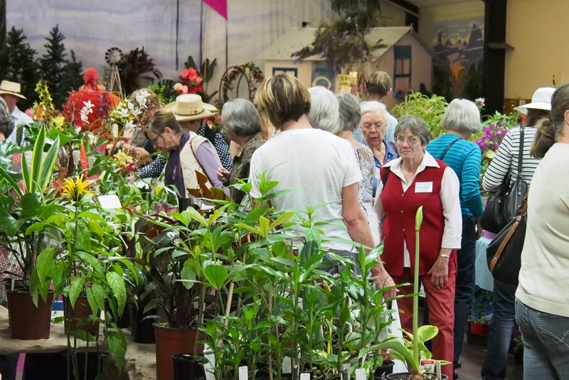 Maleny Garden Club