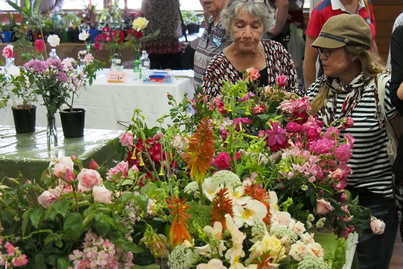 Maleny Garden Club