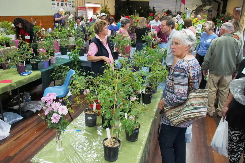 Maleny Garden Club