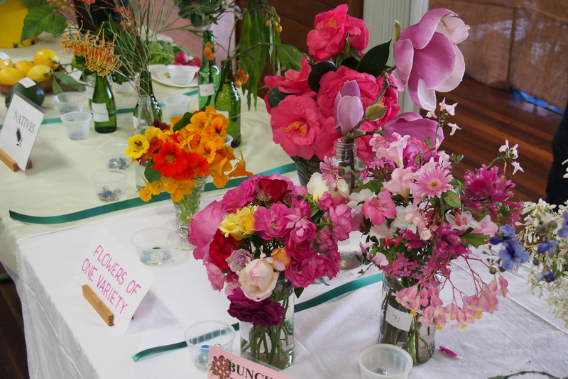 Maleny Garden Club