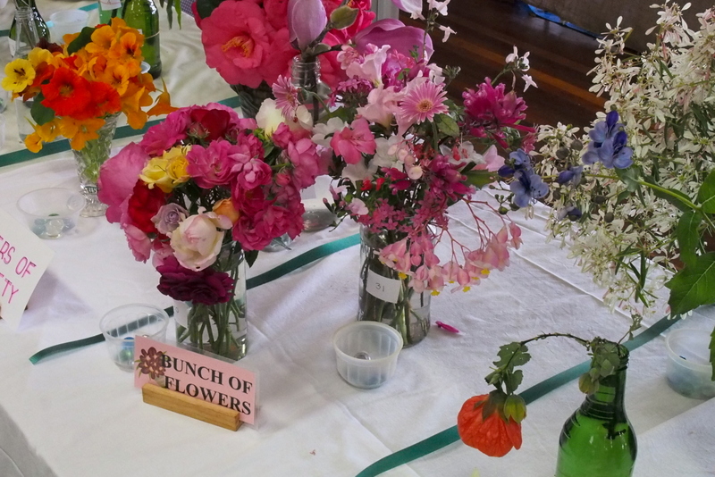 Maleny Garden Club