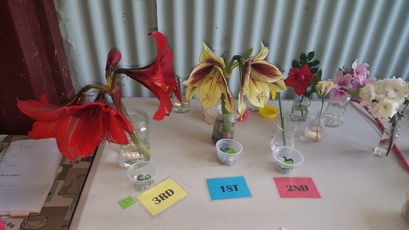 Maleny Garden Club