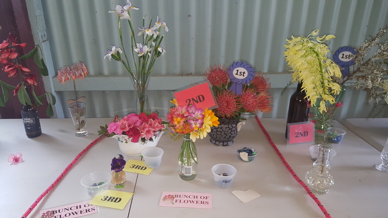 Maleny Garden Club