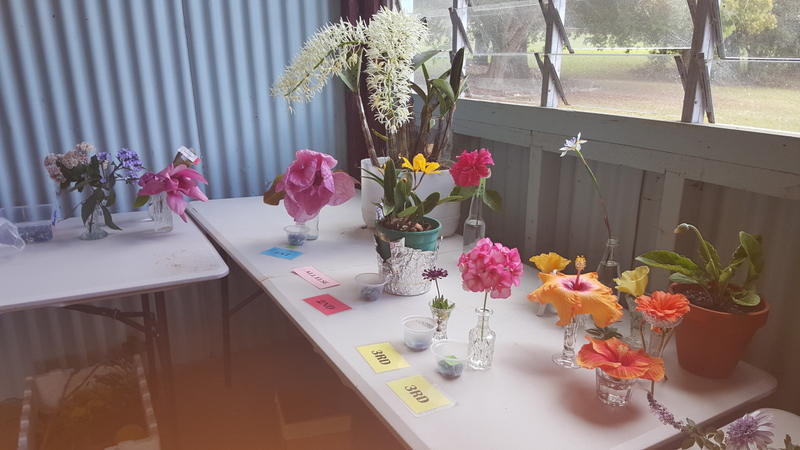 Maleny Garden Club